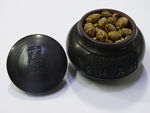 铁皮石斛