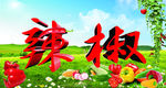 辣椒标示牌