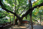 于山风景区