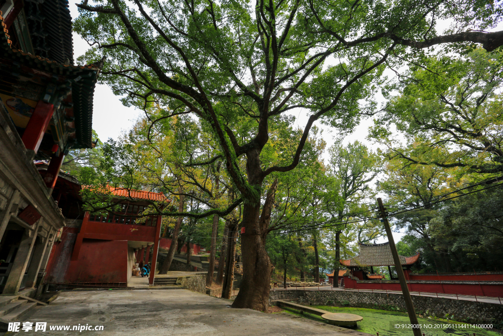 涌泉寺