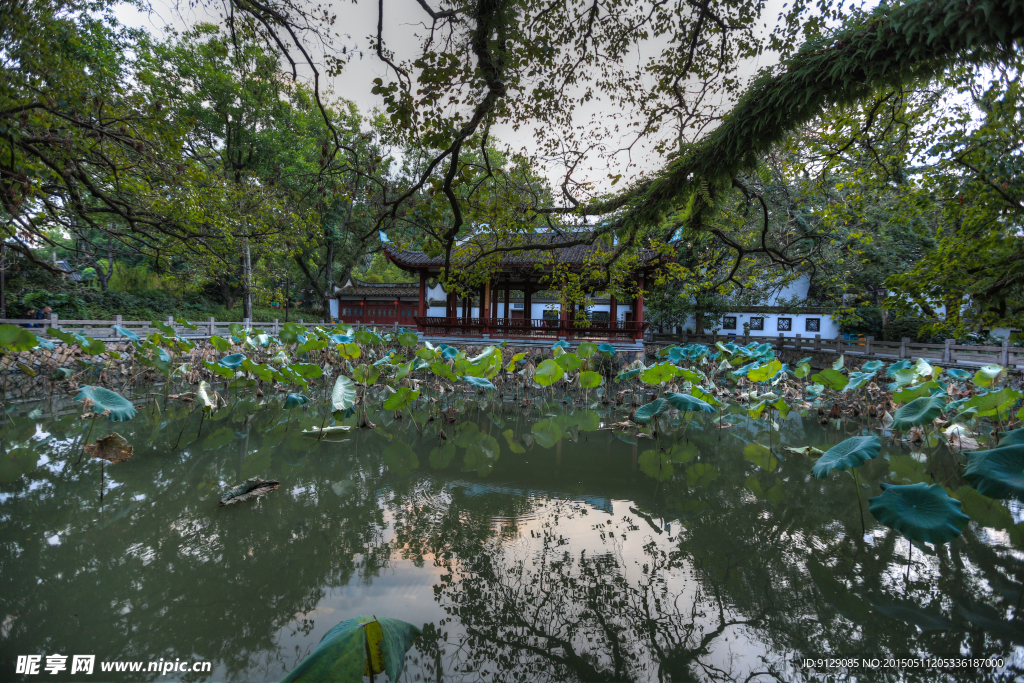 西禅寺