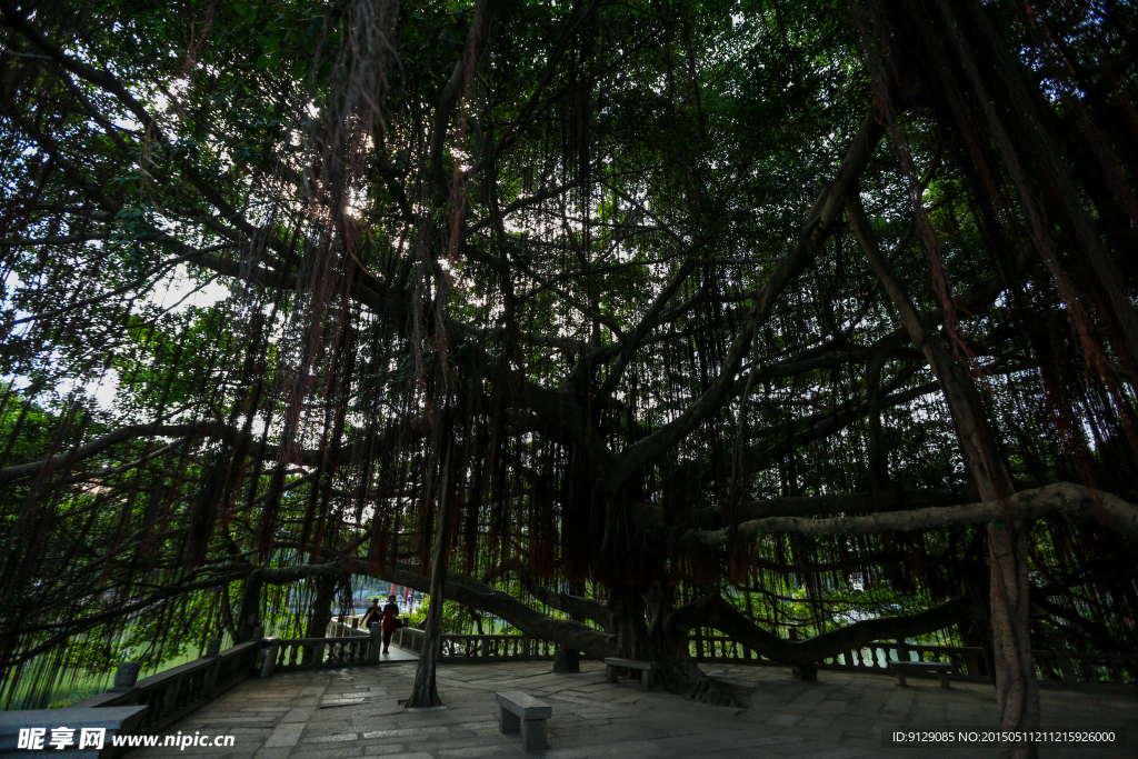 西禅寺