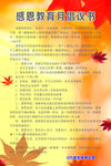 感恩倡议书