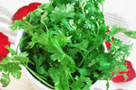 香菜 时蔬 生拌香菜