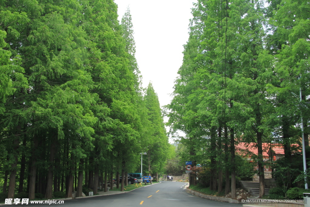 自然风景