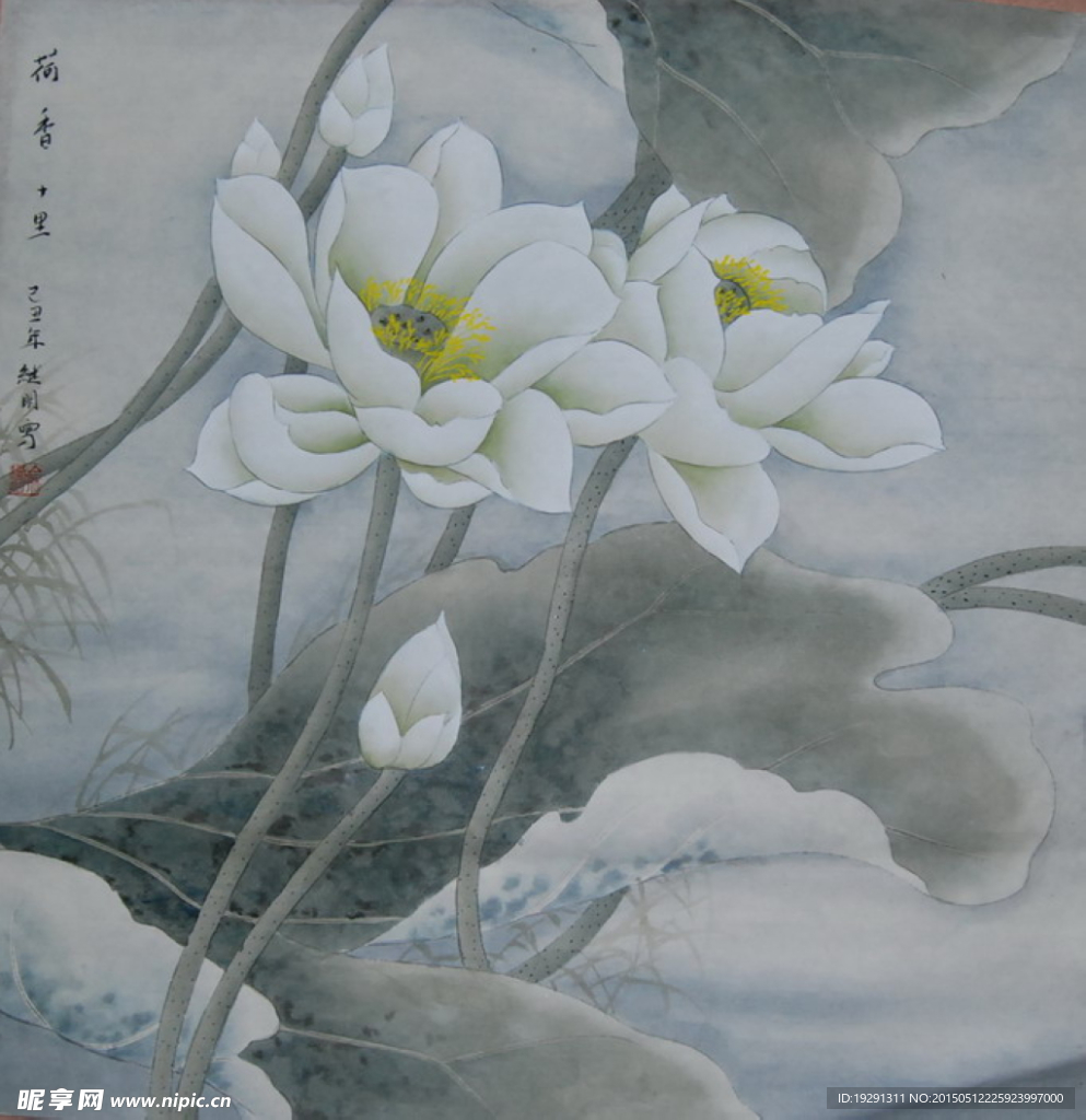 荷花