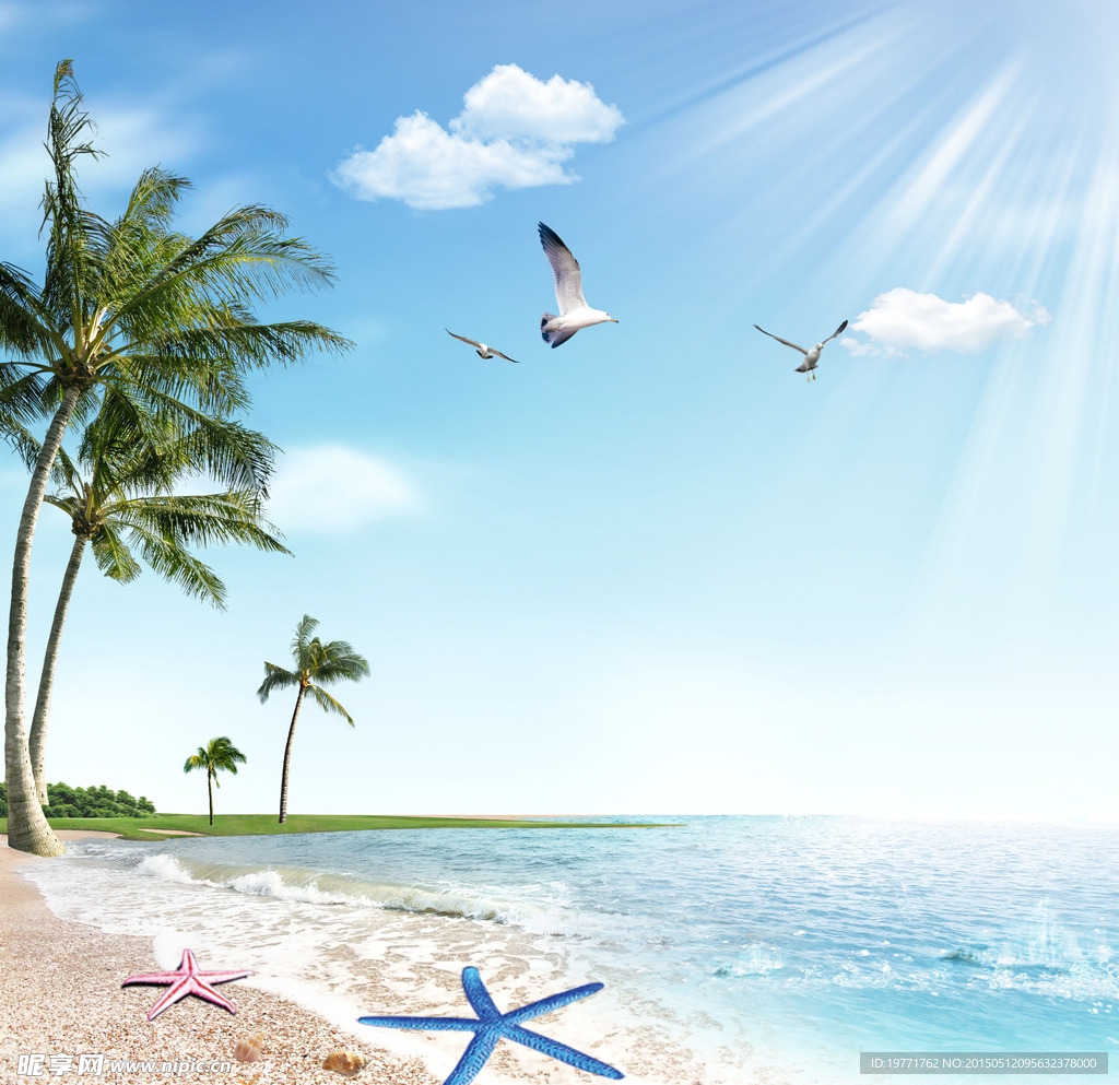 夏日海滩