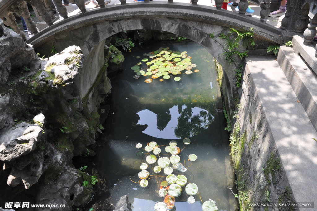 园林水池