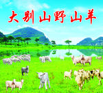 蓝天山羊背景墙