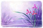 鲜花