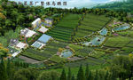 某山区茶厂鸟瞰图
