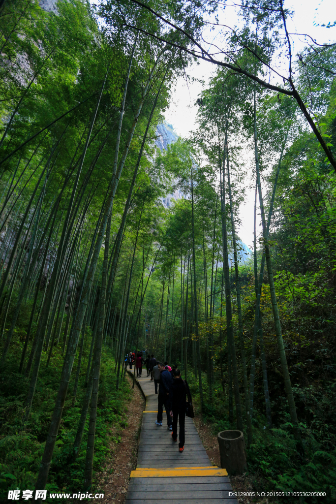 寨下大峡谷