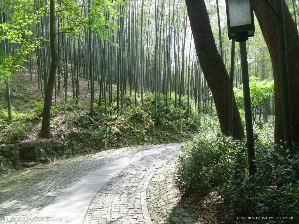 竹林小道