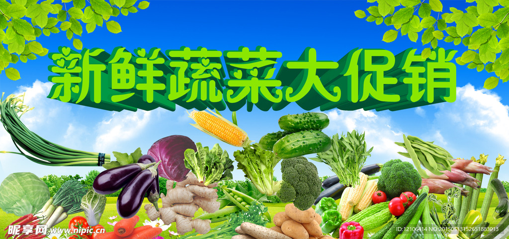蔬菜
