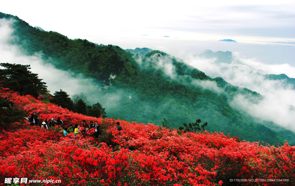 湖北麻城龟峰山