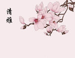 兰花