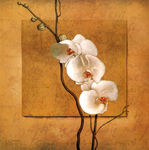 花朵油画图片下载高清油画