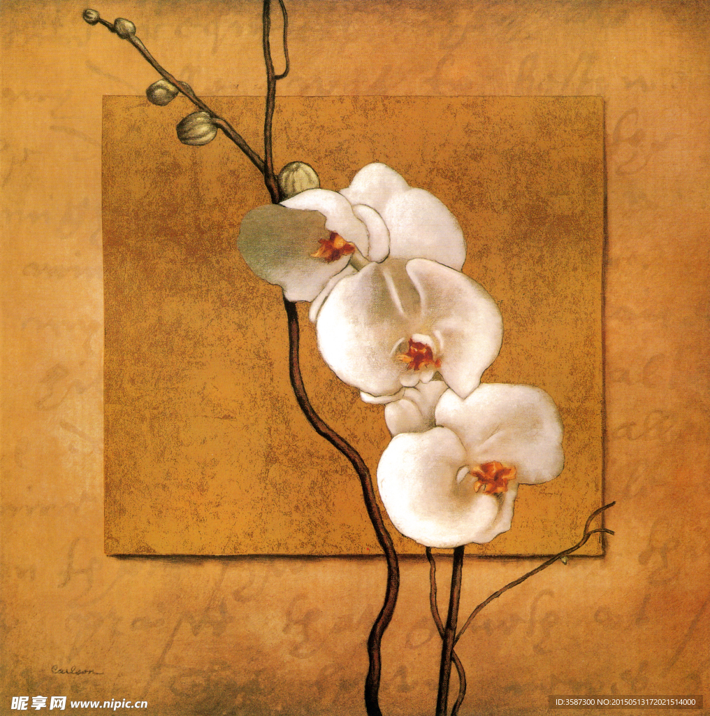 花朵油画图片下载高清油画