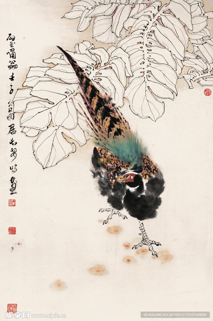 野鸡工笔画