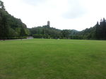 草坪树林