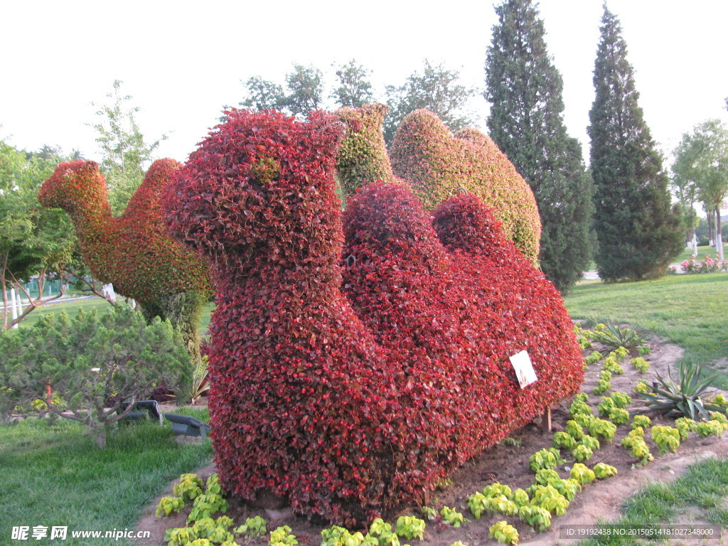 立体花坛