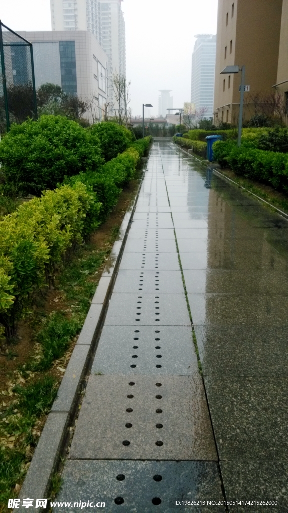 雨路