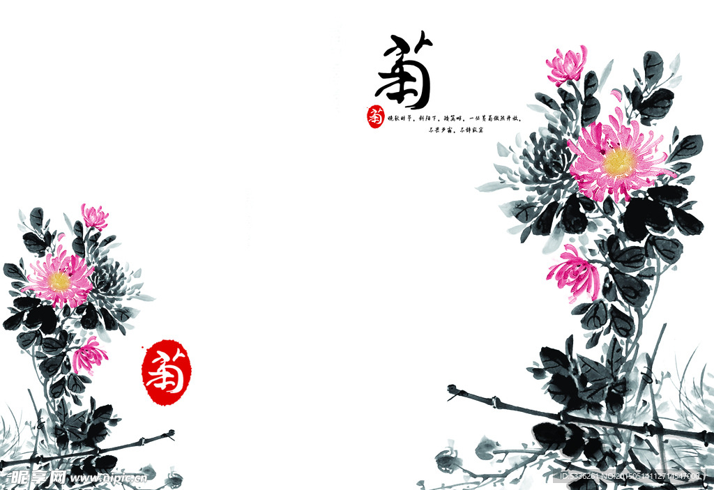 菊花