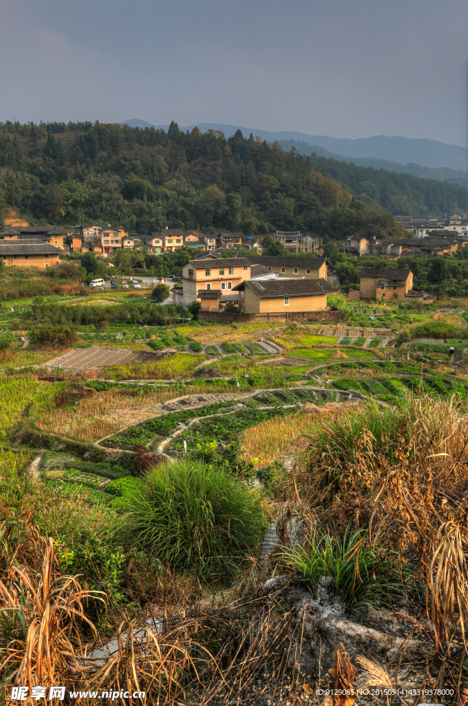洪坑土楼群