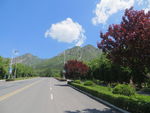 登封阳城路