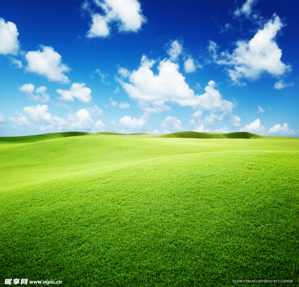 高清绿色风景背景