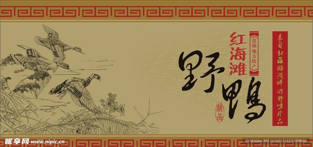 野鸭