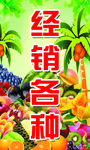 经销水果