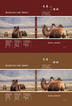 画册封皮