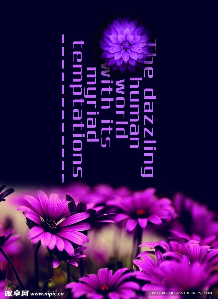 花花世界