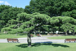 公园