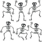 人体骨骼