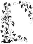 植物花纹