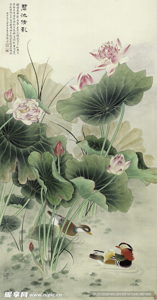 碧池倩影