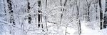 广角雪景图