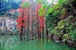 水衫风景