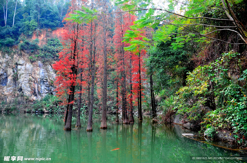 水衫风景