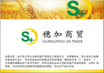 禾穗logo设计