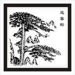 迎客松无框画