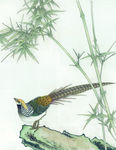 花鸟 竹子