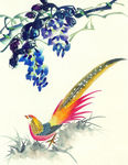 花鸟绘画素材