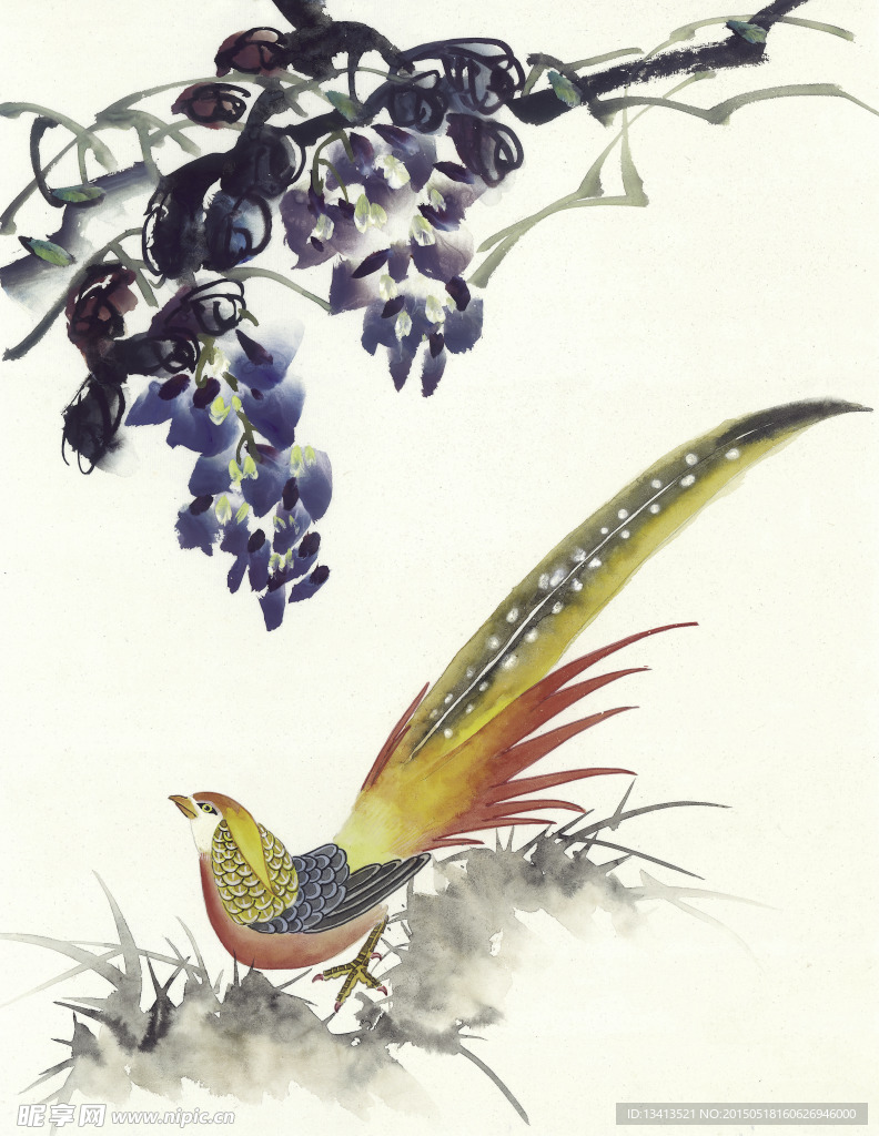 花鸟绘画素材