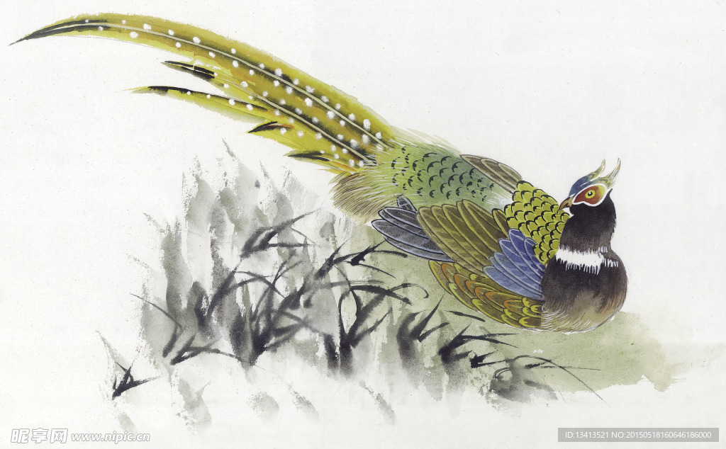 花鸟绘画素材
