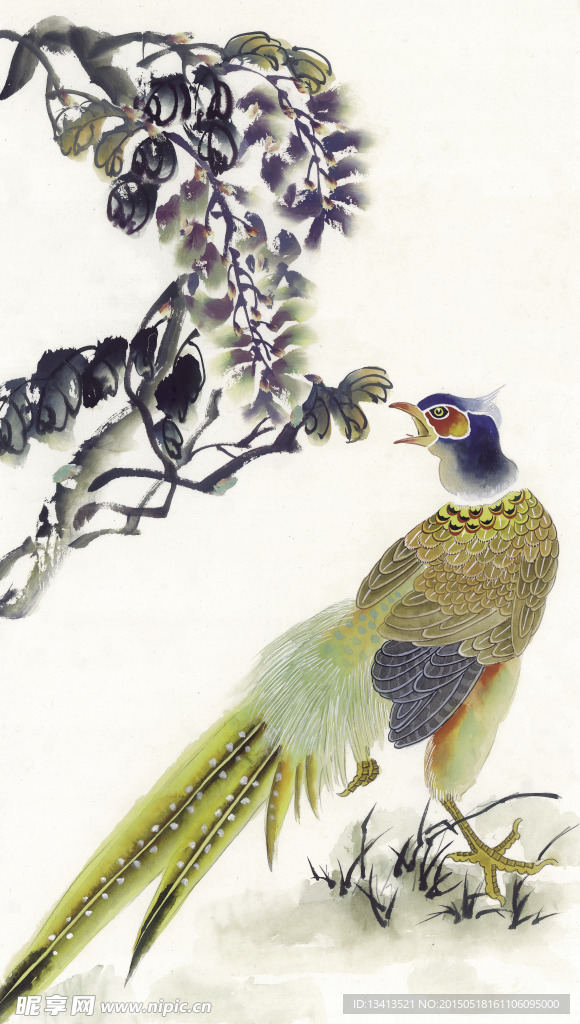 花鸟绘画素材