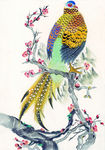 花鸟绘画素材