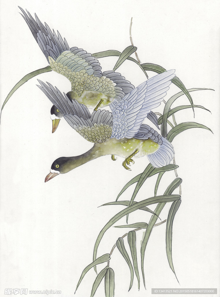 大雁绘画素材